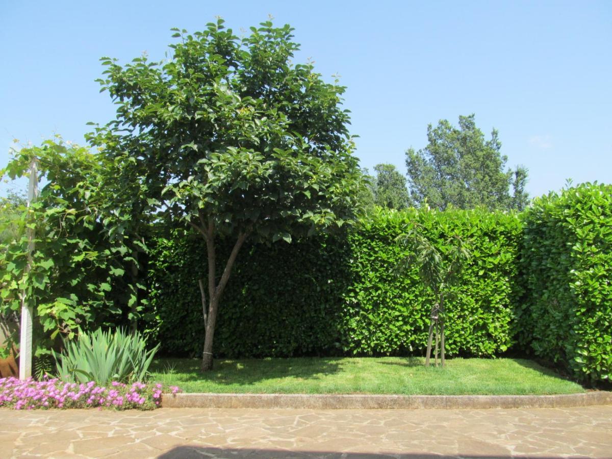 Apartments Zvezdica*** With Garden Zambratija  Exterior photo