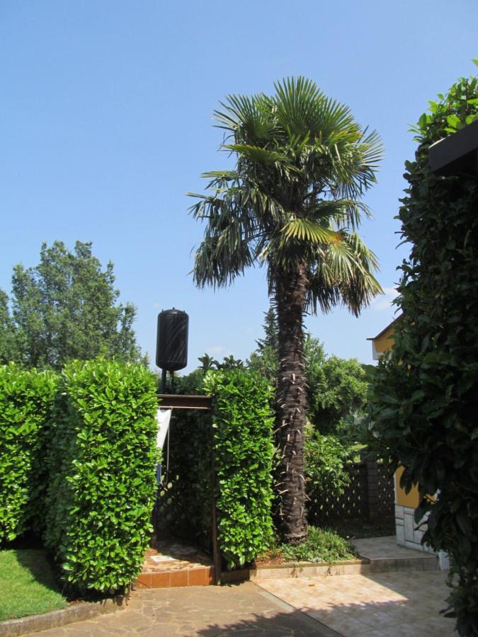 Apartments Zvezdica*** With Garden Zambratija  Exterior photo