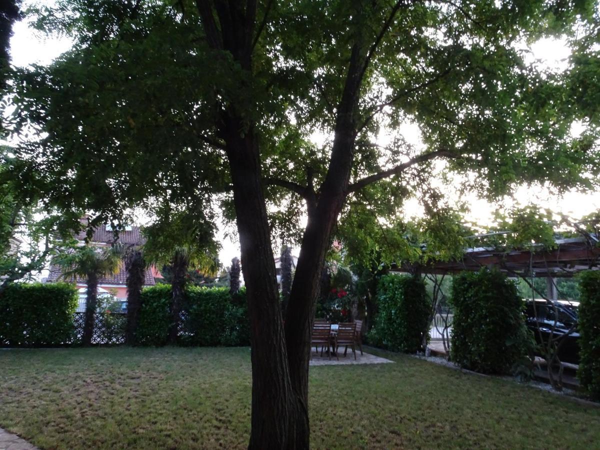 Apartments Zvezdica*** With Garden Zambratija  Exterior photo